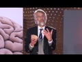 Waarom vernietigt vanillevla onze hersenen? Prof. Dr. Erik Scherder (4/5) 